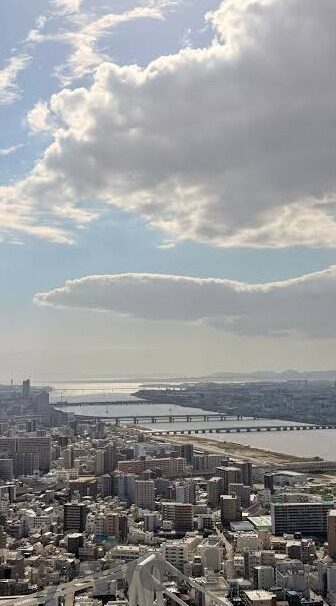 世界杯足球比利时对日本-世界杯足球比利时对日本的精彩对决